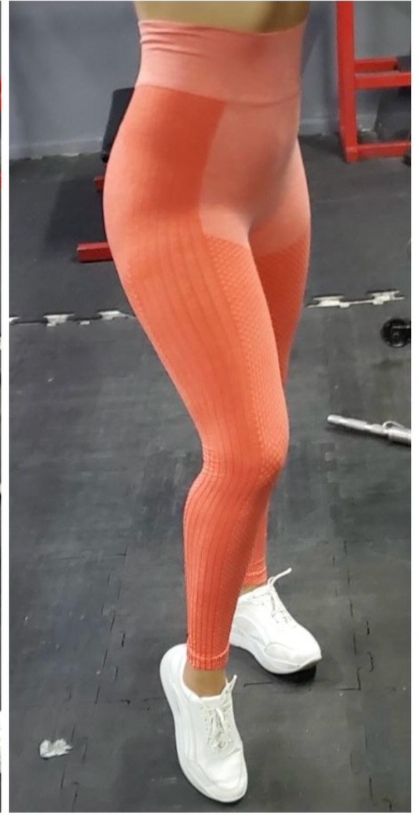 Leggin malla licra panel