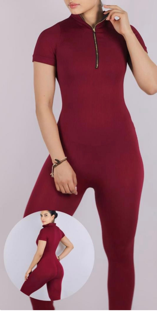 Jumpsuit Largo Mangas Cierre